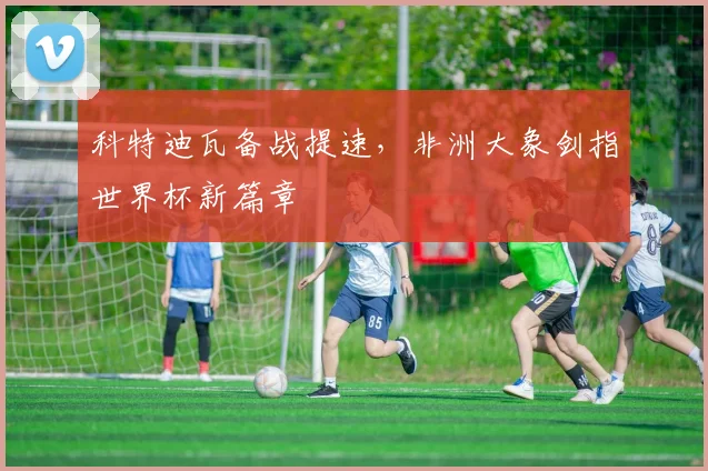 科特迪瓦备战提速，非洲大象剑指世界杯新篇章