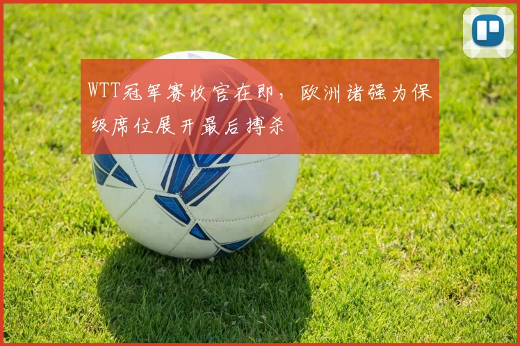 WTT冠军赛收官在即，欧洲诸强为保级席位展开最后搏杀
