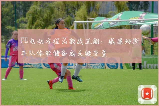 FE电动方程式激战正酣，威廉姆斯车队体能储备成关键变量