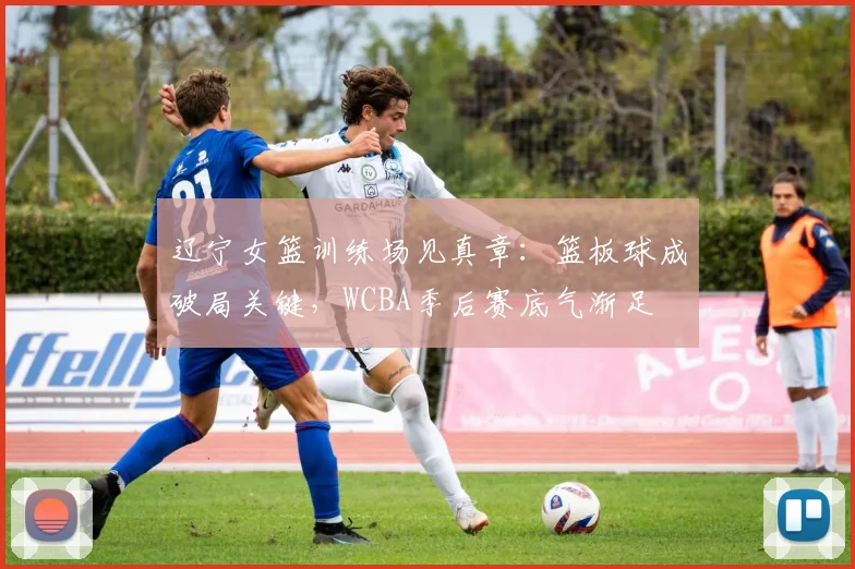 辽宁女篮训练场见真章：篮板球成破局关键，WCBA季后赛底气渐足